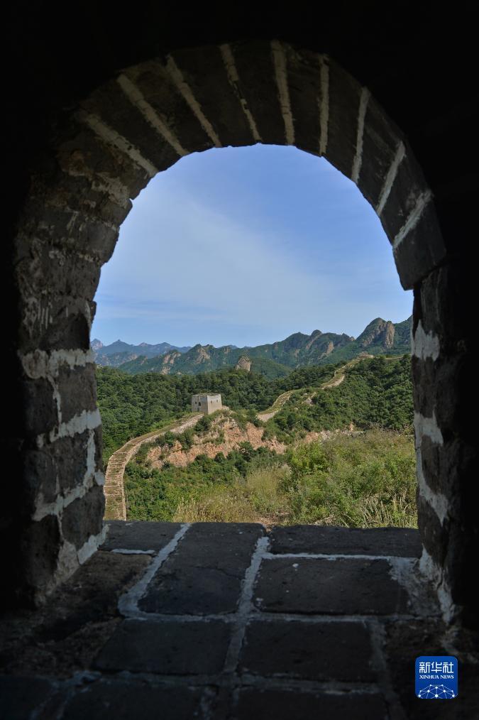 众发下载软件